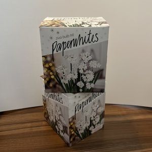 2 Ziva Paperwhites Bulb Kits